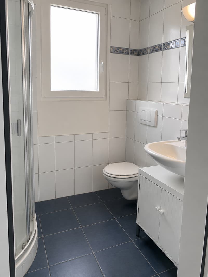 4.5-Zimmer Attika-Traum direkt an der Reuss (5)