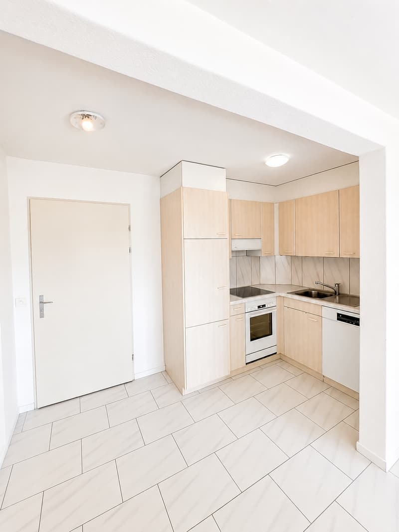 Charmante 1.5-Zimmer-Wohnung mit Balkon in Luzern (2)