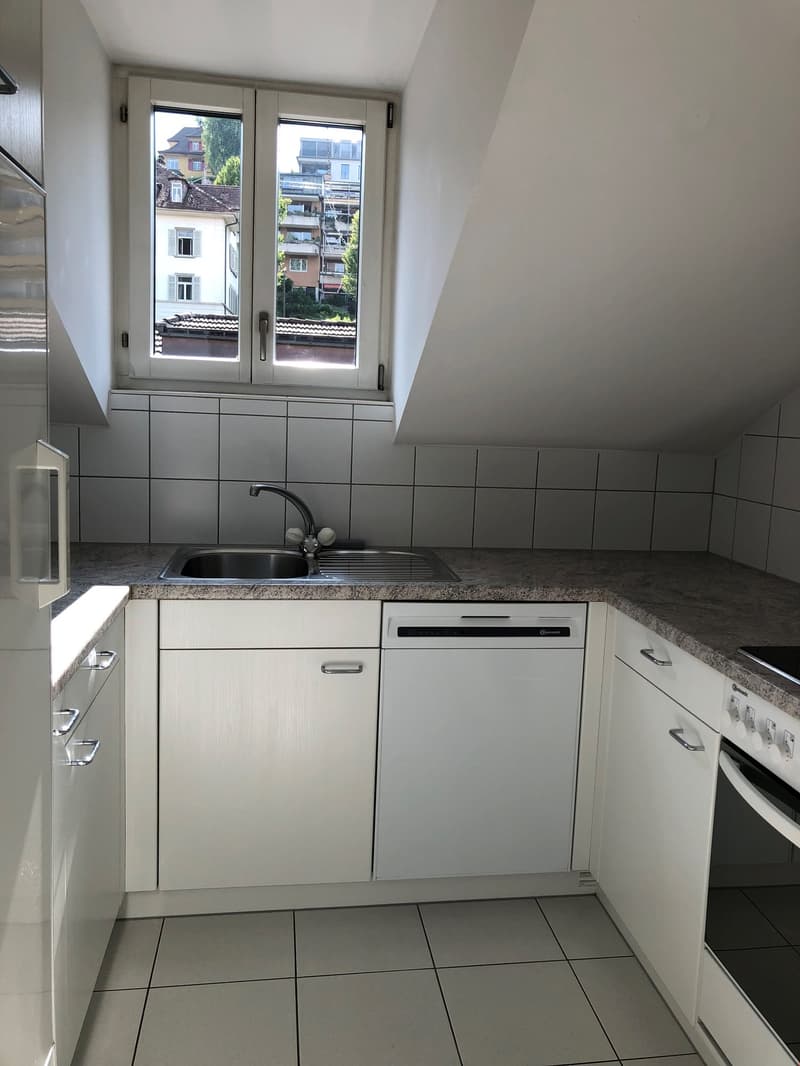 Charmante 3-Zimmer-Dachwohnung zu vermieten (2)