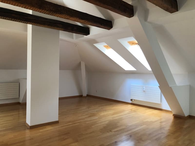 Charmante 3-Zimmer-Dachwohnung zu vermieten (5)