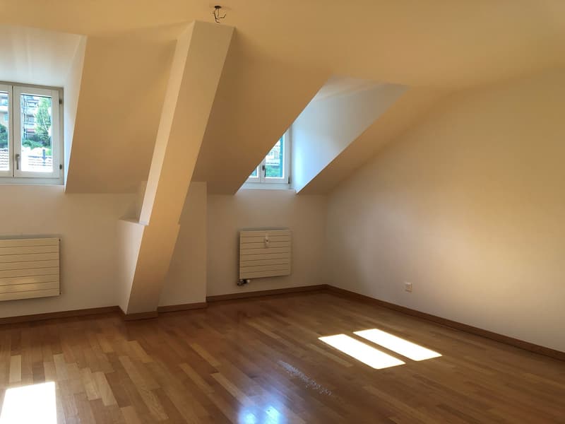 Charmante 3-Zimmer-Dachwohnung zu vermieten (6)