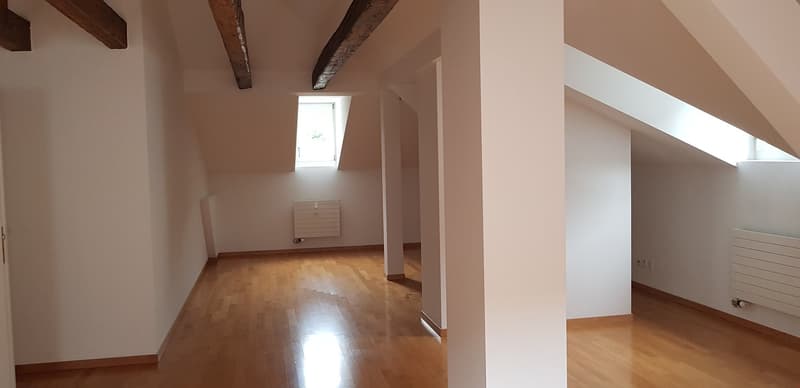 Charmante 3-Zimmer-Dachwohnung zu vermieten (8)