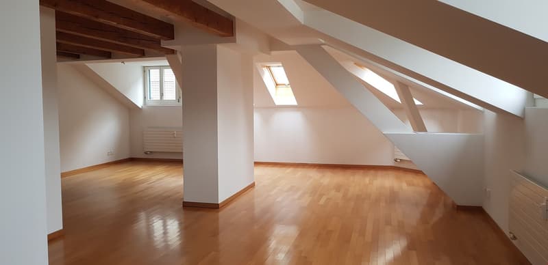 Charmante 3-Zimmer-Dachwohnung zu vermieten (1)