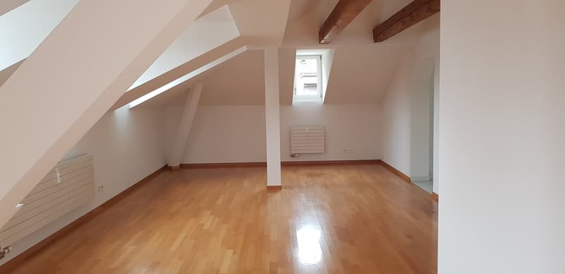 Charmante 3-Zimmer-Dachwohnung zu vermieten (7)