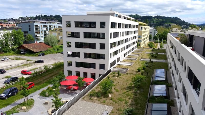 Moderne 3.5-Zimmerwohnung in der Tribschenstadt (1)