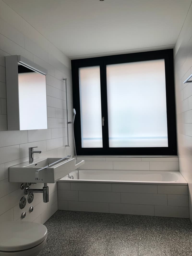 Moderne 3.5-Zimmerwohnung in der Tribschenstadt (3)