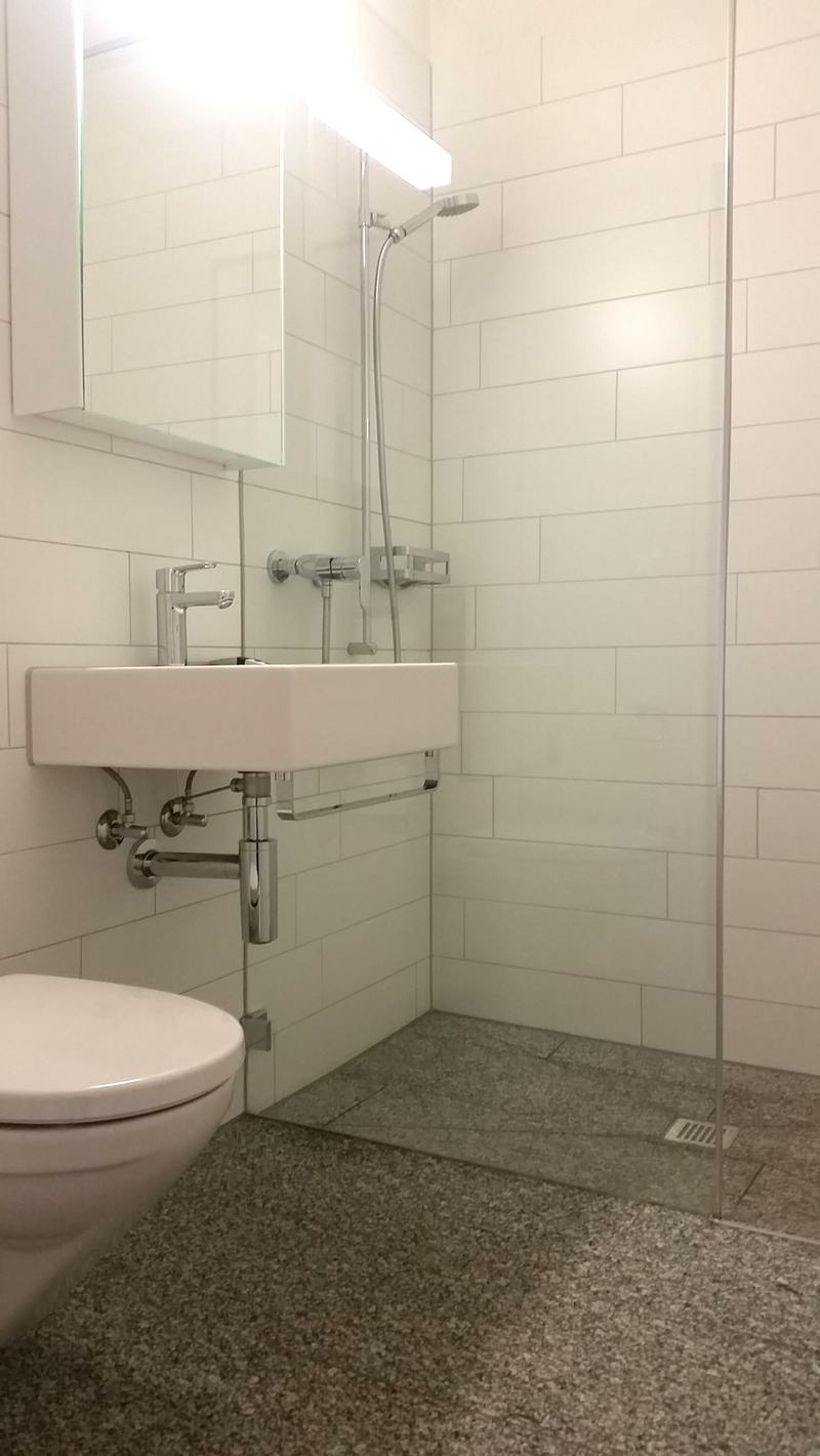 Moderne 3.5-Zimmerwohnung in der Tribschenstadt (4)
