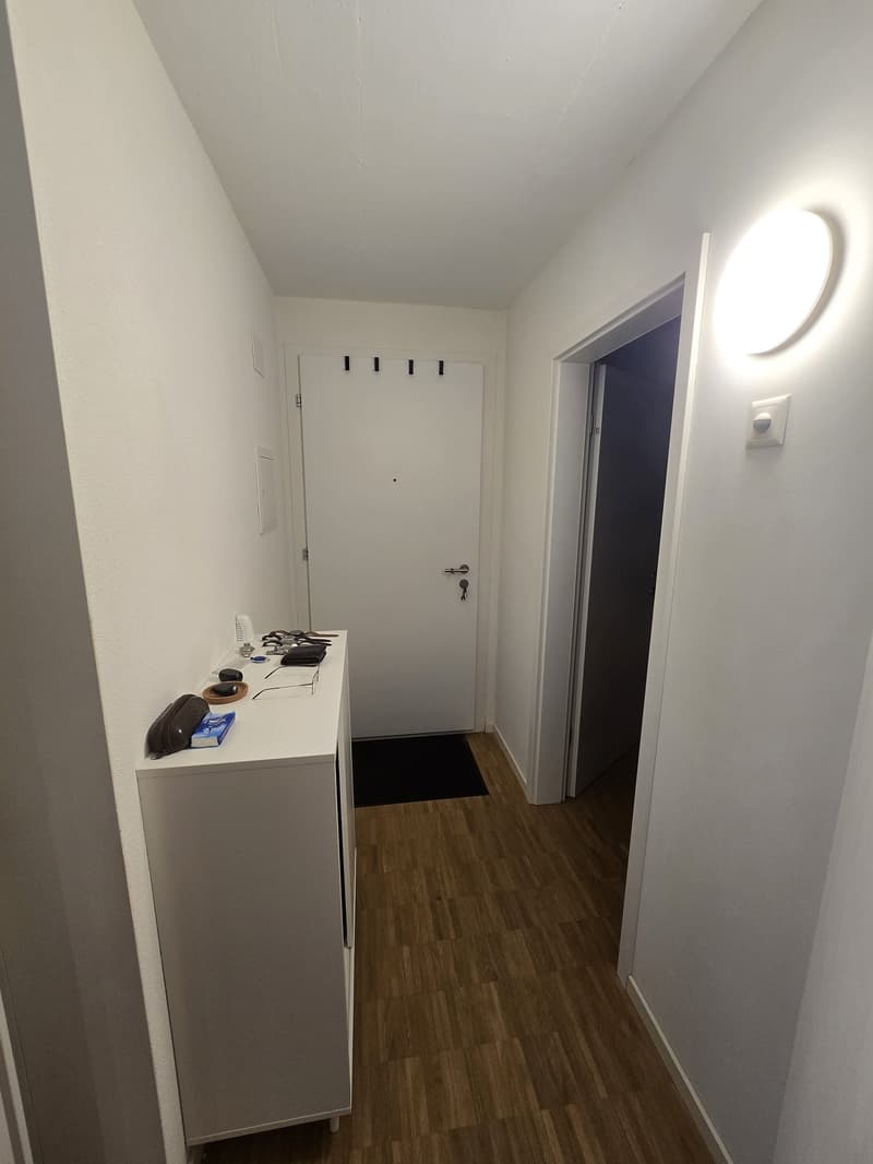 Gemütliche 2.5-Zimmer-Wohnung an zentrumsnaher Lage in Luzern (5)