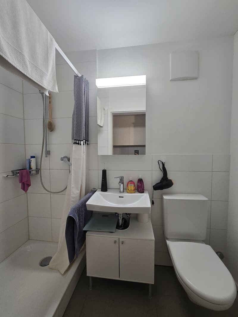 Gemütliche 2.5-Zimmer-Wohnung an zentrumsnaher Lage in Luzern (3)