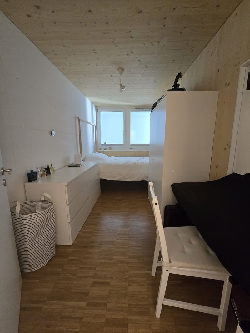 Gemütliche 2.5-Zimmer-Wohnung an zentrumsnaher Lage in Luzern (4)