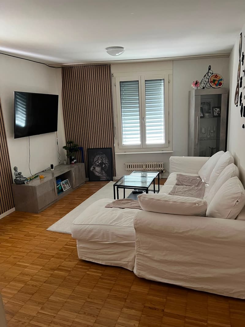 Gemütliche 2.5-Zimmer-Wohnung an zentraler Lage in Luzern (3)