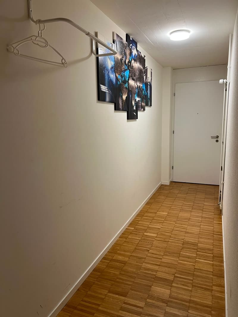 Gemütliche 2.5-Zimmer-Wohnung an zentraler Lage in Luzern (4)