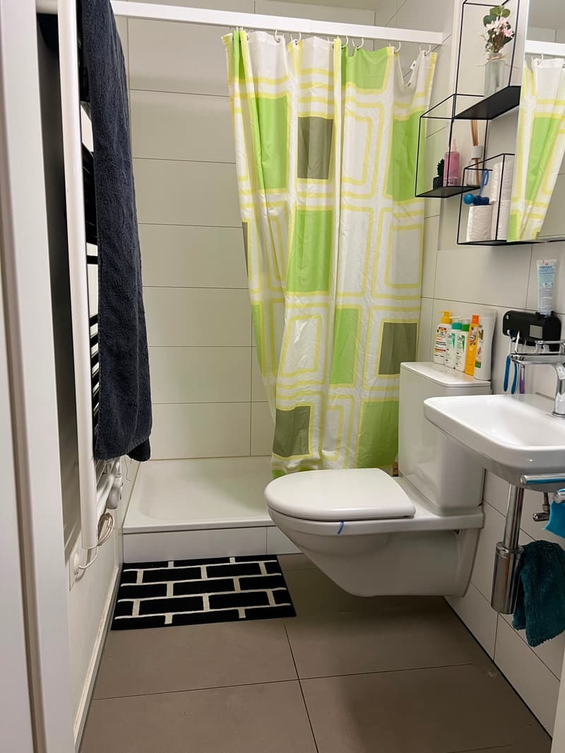 Gemütliche 2.5-Zimmer-Wohnung an zentraler Lage in Luzern (2)