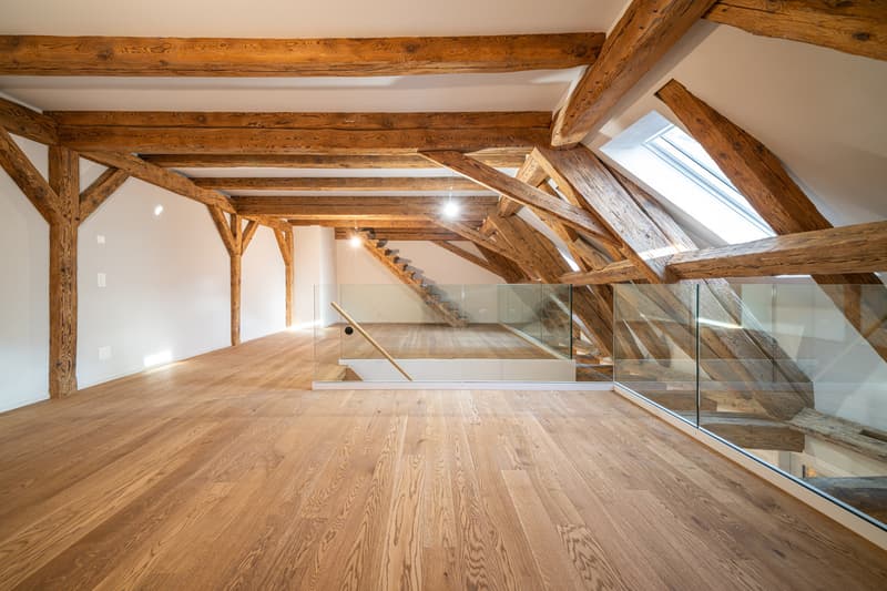 Galerie Dachloft