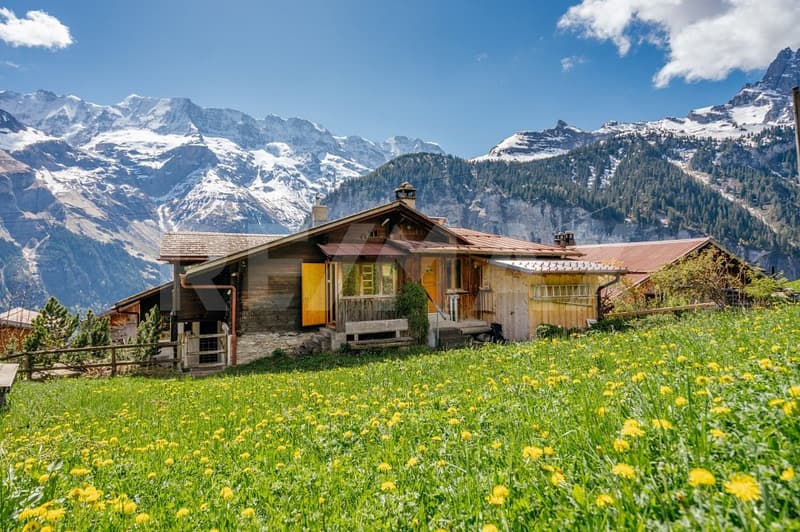 Charming 3-room holiday apartment with panoramic views in Gimmelwald near Mürren (1)
