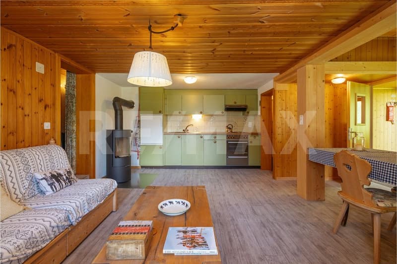 Charming 3-room holiday apartment with panoramic views in Gimmelwald near Mürren (9)