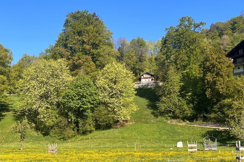 Casa di due camere a Rugenwald ... PRIMA ABITAZIONE (1)