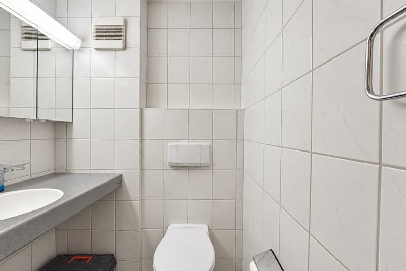 Einladende 4.5-Zimmer-Wohnung mit viel Wohnkomfort in Wilderswil (7)
