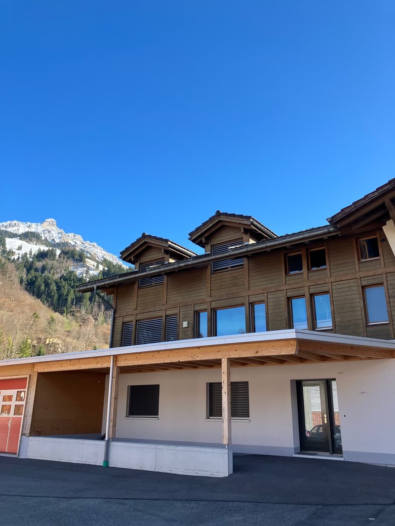 3 story building, wooden exterior, large windows, covered entrance, mountain view