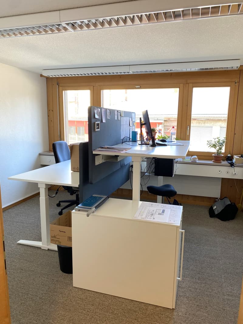 Two desks, one with a monitor, one with a potted plant, a chair, a trash bin, a storage box, a carpeted floor, a window with a view of the outside
