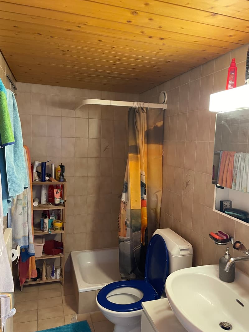 Appartement 6,5 pièces avec vue sur le beau monde montagnard (10)