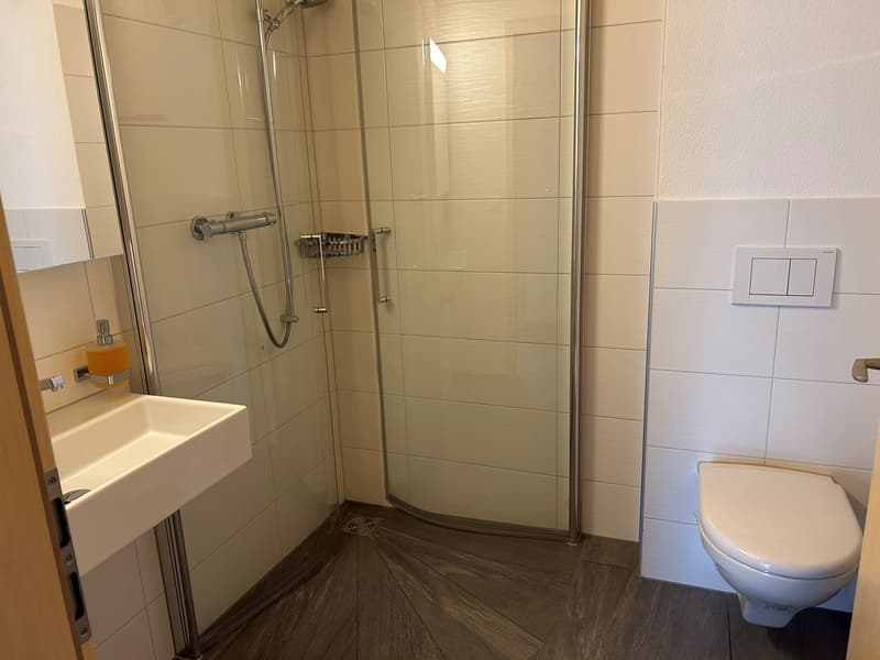 Modern 4.5 room apartment with a view of the Kandertal mountain world (9)