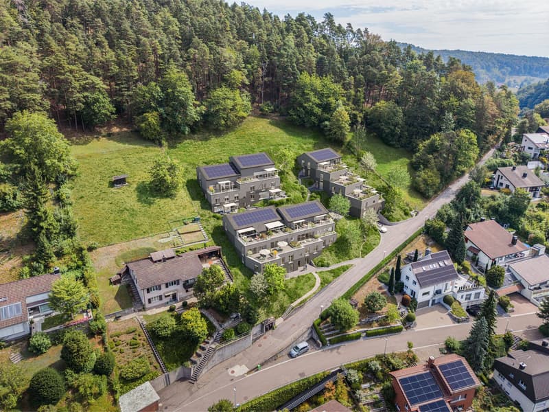 TrioVista C1 – Familienwohnen auf zwei     Ebenen | 5.5 Zimmer Neubau (12)