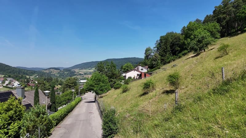 TrioVista C1 – Familienwohnen auf zwei     Ebenen | 5.5 Zimmer Neubau (10)