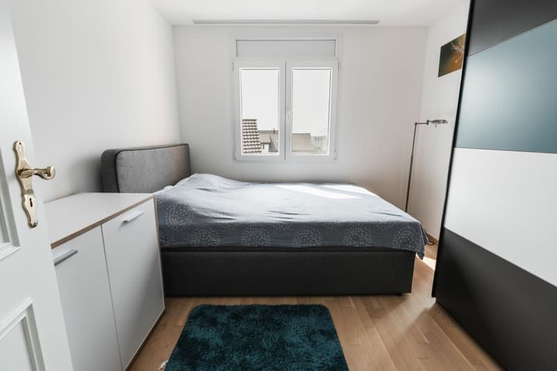 Renovated 4.5 room apartment in central residential area (8)