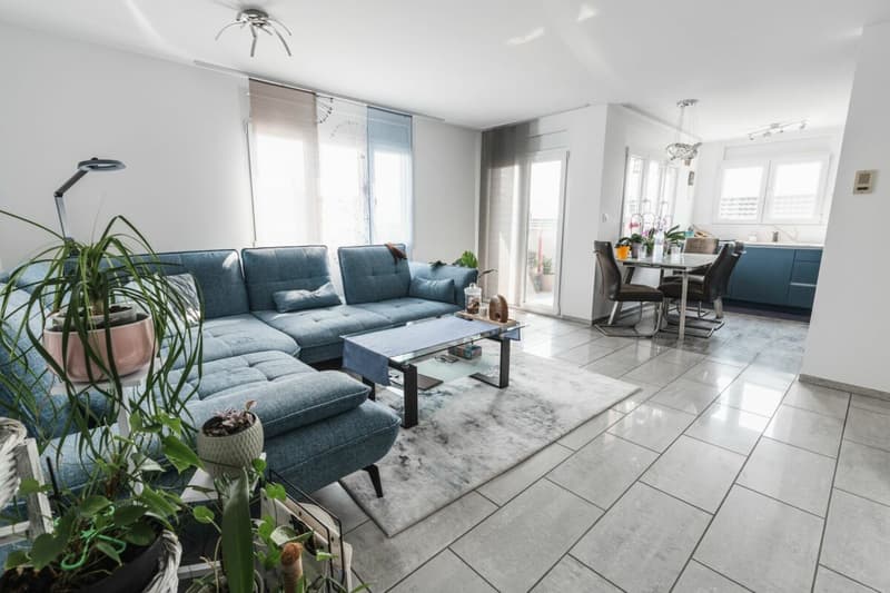 Renovated 4.5 room apartment in central residential area (3)