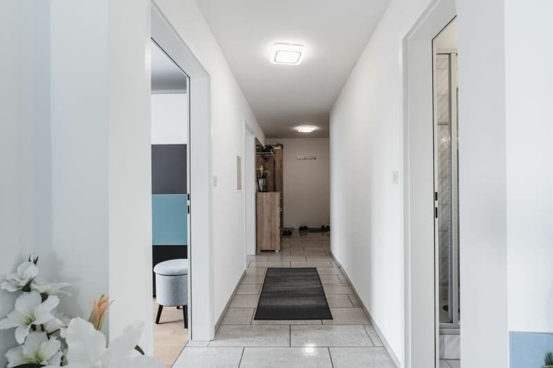 Renovated 4.5 room apartment in central residential area (6)
