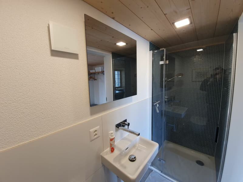 Generous living & clever renting - Your home with additional rental income (18)