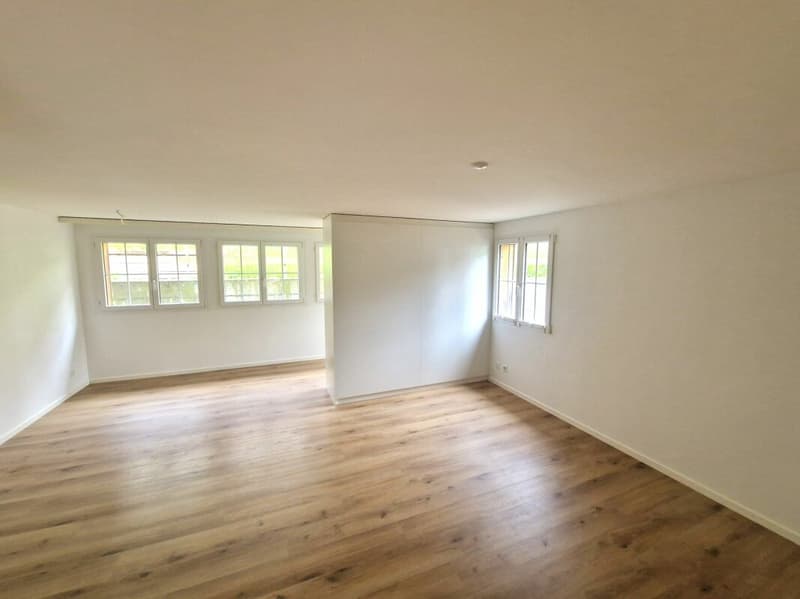 well-maintained and beautiful living with plenty of space (2)