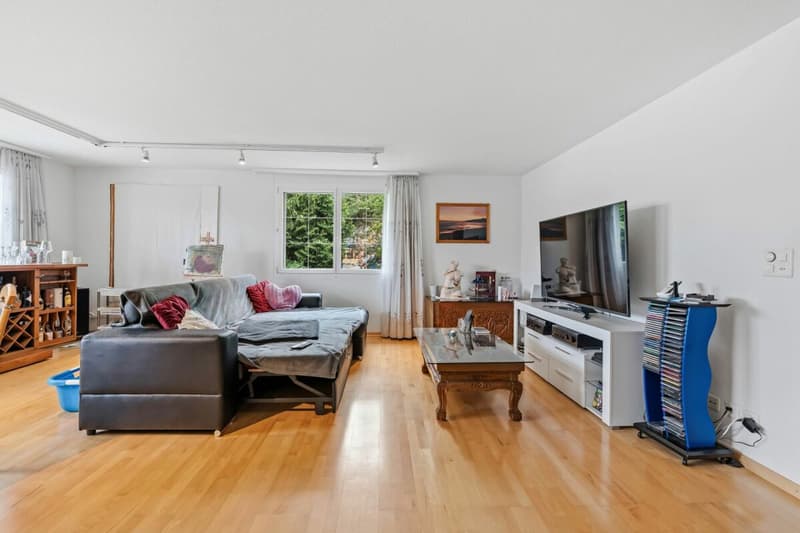 Spacious single-family house with annex (4)
