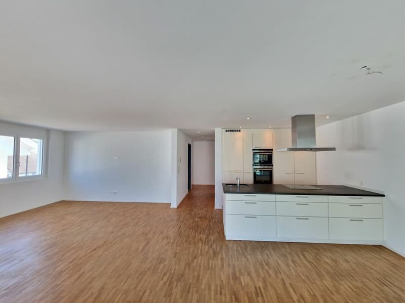 Beautiful modern apartment with plenty of space (2)