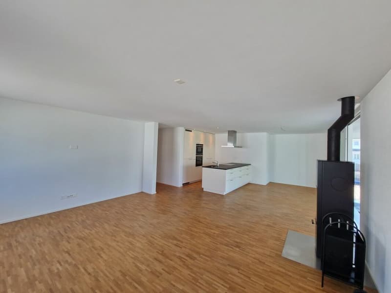 Beautiful modern apartment with plenty of space (1)