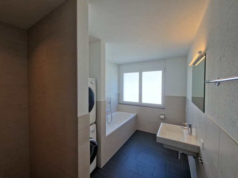 Beautiful modern apartment with plenty of space (8)