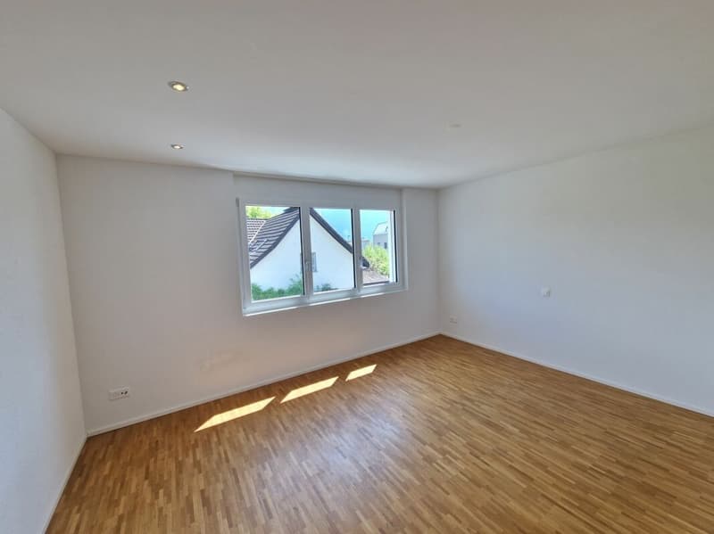 Beautiful modern apartment with plenty of space (3)