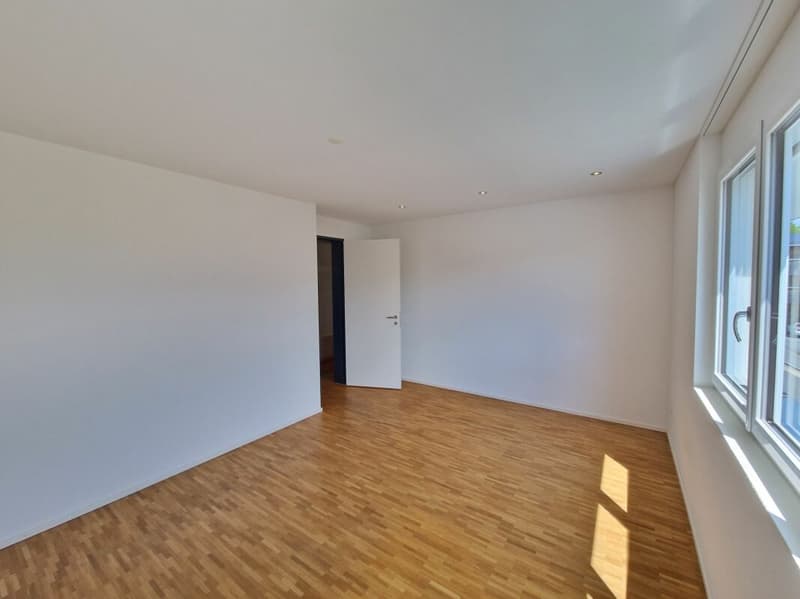 Beautiful modern apartment with plenty of space (7)