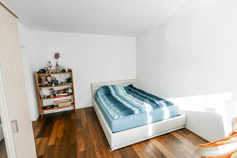 Grosszügiges 8-Zimmer-Einfamilienhaus mit Einliegerwohnung, Garten und grosser Terrasse (12)