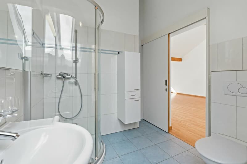 helle 3,5-Zimmer-Dachwohnung mit Terrasse & Weitblick (10)