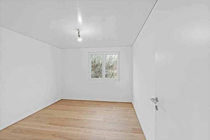 Kernsaniertes 4.5-Zimmer-Doppeleinfamilienhaus mit Garten & Garage in Widnau (10)