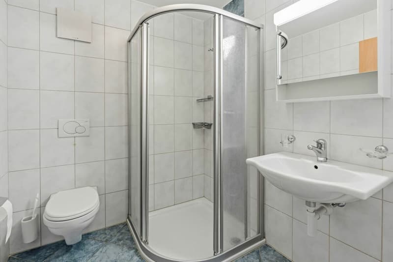 wunderschöne 4.5 Zimmer Gartenwohnung mit Wintergarten (11)