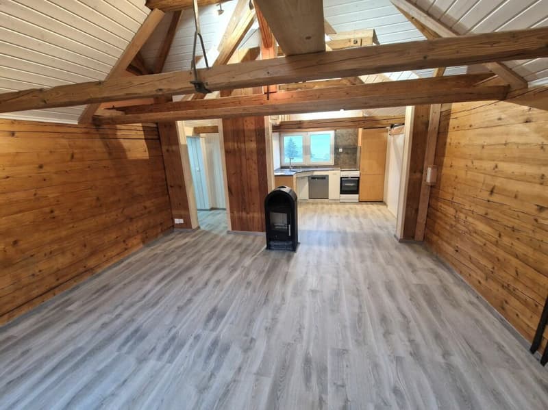 Helle, frisch renovierte 3.5-Zimmer-Dachwohnung mit Cheminée (1)