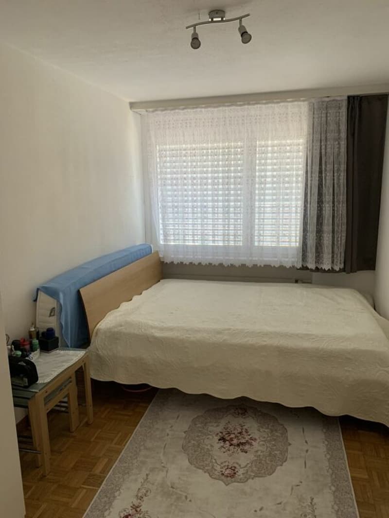 Appartamento 4,5 locali 2° piano (9)