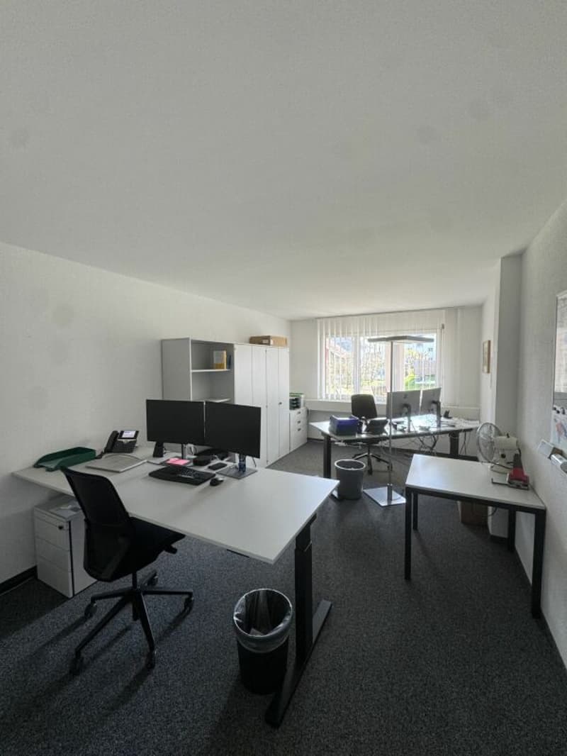 Ampio spazio commerciale per ufficio o studio, 238 m² (4)