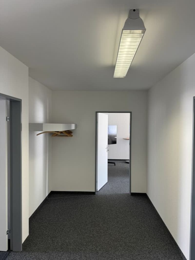 Ampio spazio commerciale per ufficio o studio, 238 m² (12)