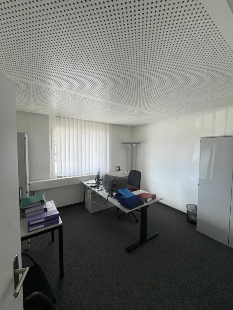 Ampio spazio commerciale per ufficio o studio, 238 m² (7)