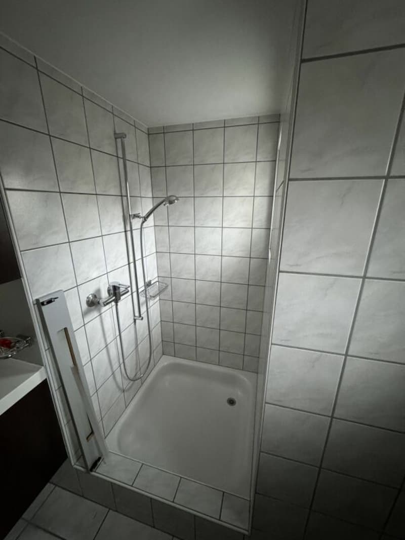 3 Zimmer Altbauwohnung (10)