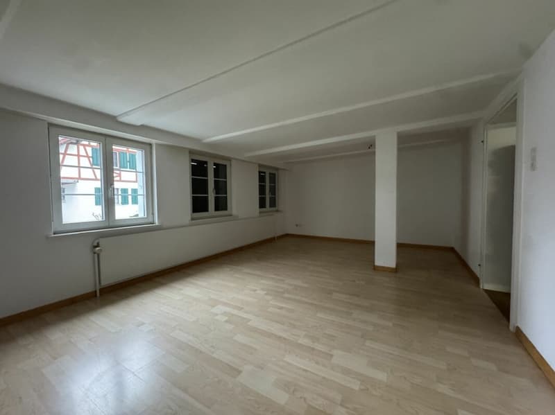 3 Zimmer Altbauwohnung (5)